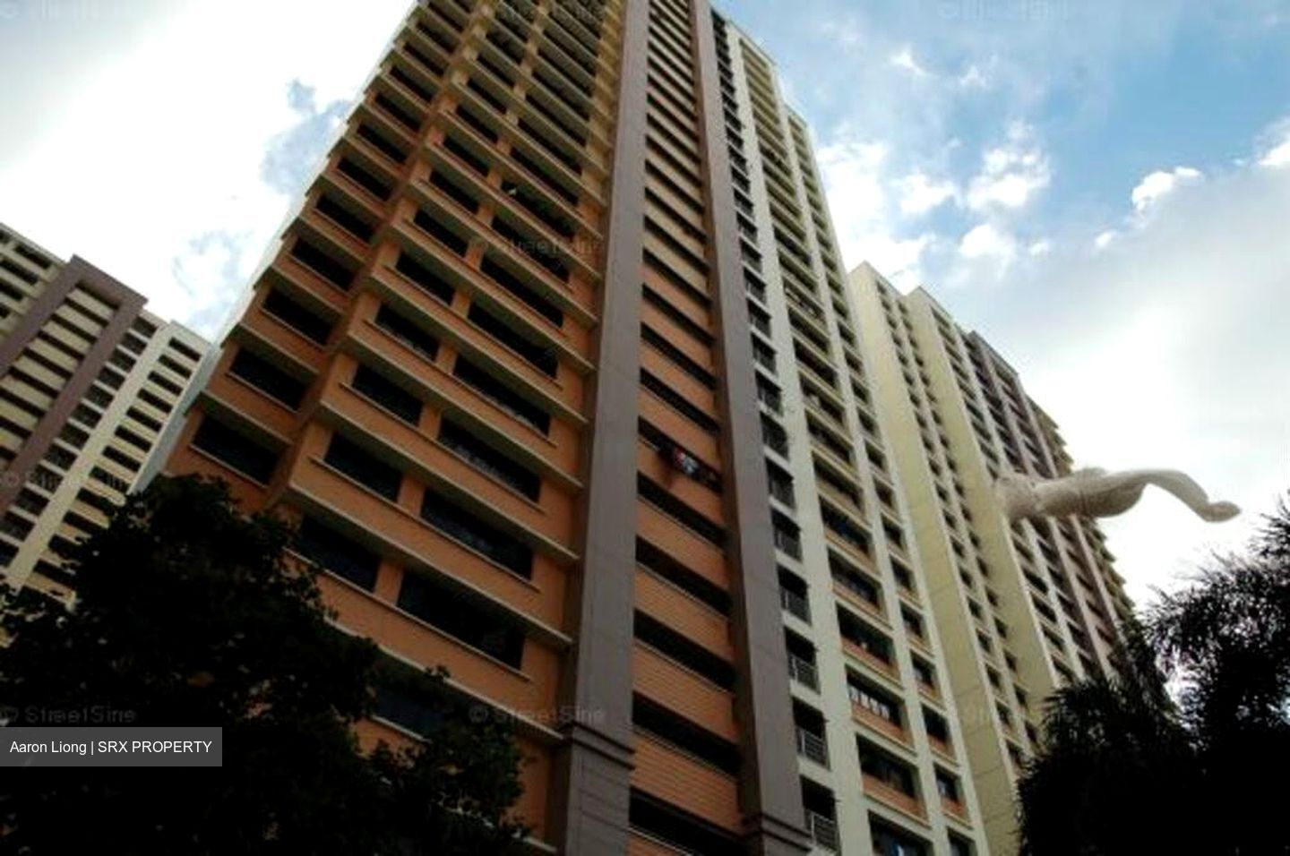Blk 12 Cantonment Towers (Bukit Merah), HDB 4 Rooms #497058011